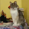Отзыв от Эмма Чумакова